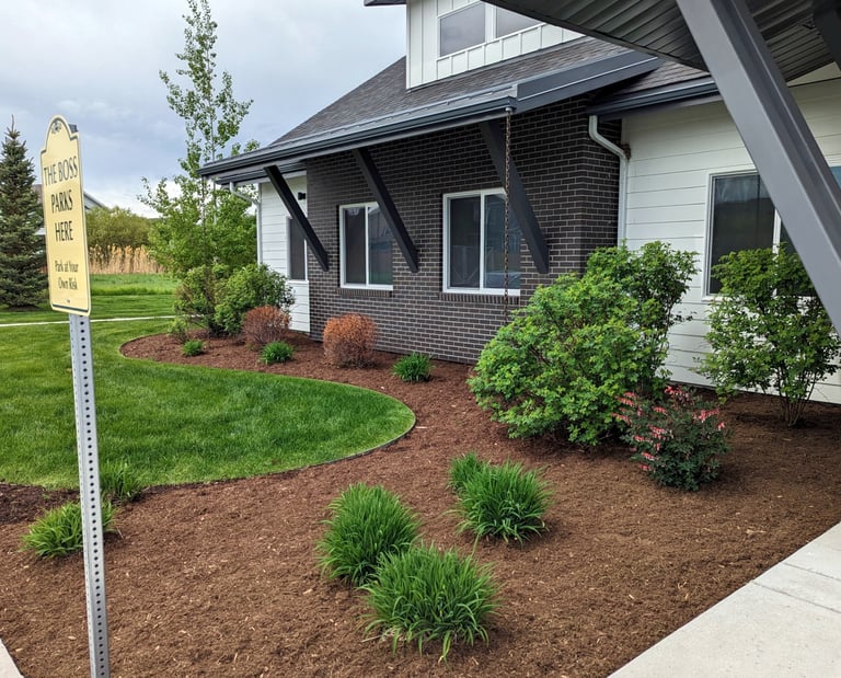 landscaping in front of a commercial building