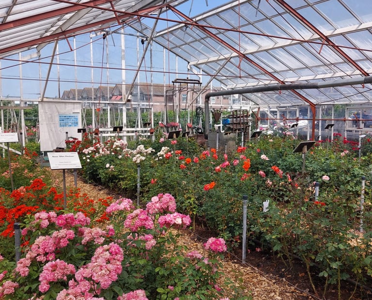 Glashaus im Historischen Gartenbaumuseum Aalsmeer