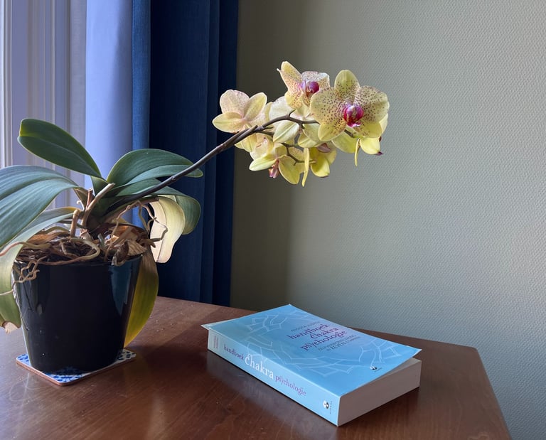 Part of a desk in a psychotherapy practice room with on it a book and a flower