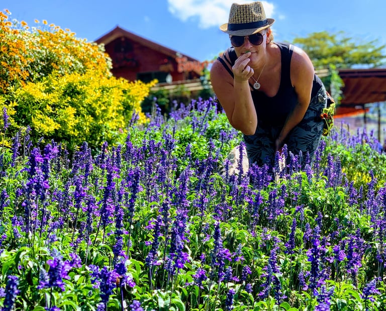 Gardener tending blooming perennial beds in a vibrant WNY garden.