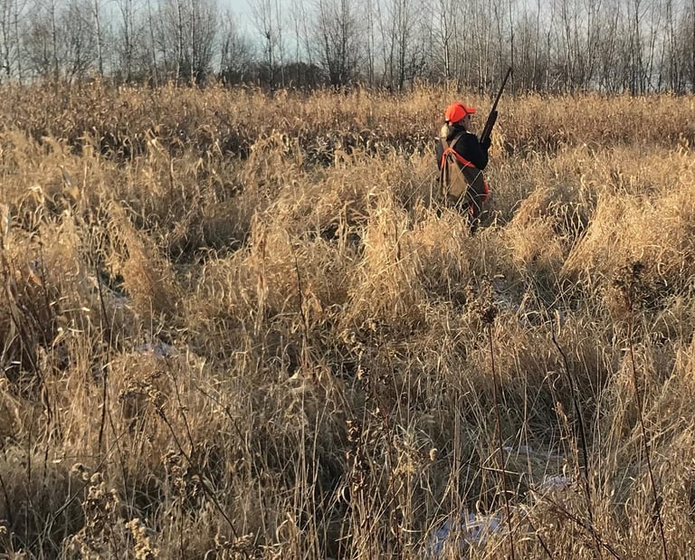 Women hunter walking through a field wearing blaze orange.