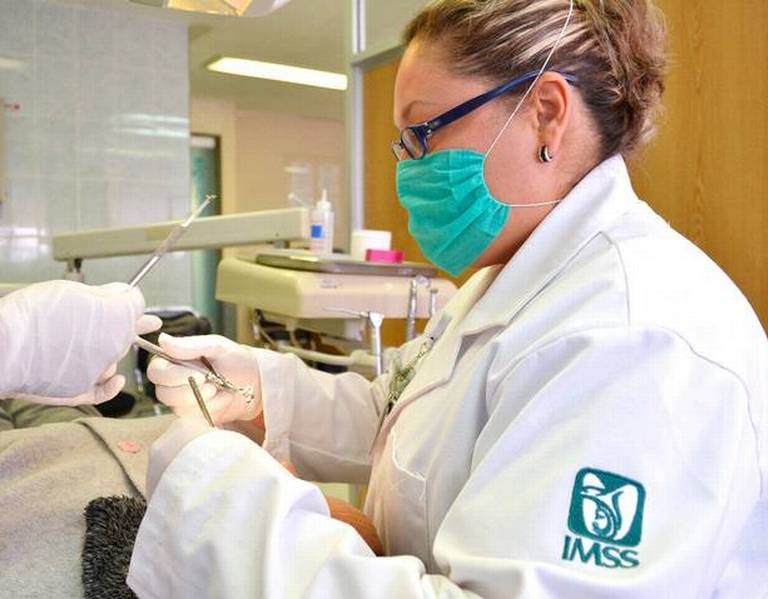 Estomatólogo IMSS Bolsa de Trabajo IMSS Vacantes IMSS Empleos IMSS Trabajar en el IMSS