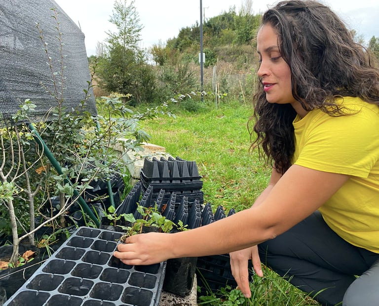 Transplante de plantas desde el vivero de EcoRumbo para restauración y educación ambiental