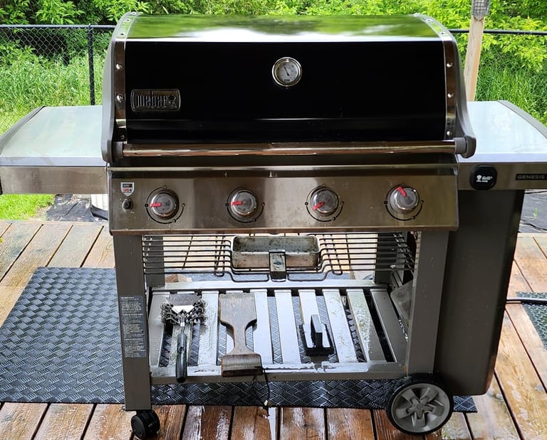 Weber Grill Professionally cleaned in Durham, Brooklin, Pickering, Whitby, Oshawa 