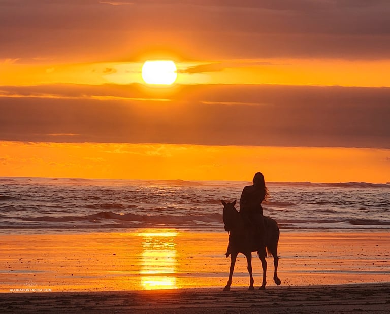 horseback riding in Santa Teresa Beach