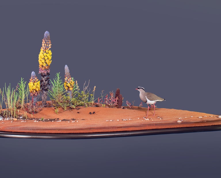 True-to-nature habitat diorama of Arabian beach in spring, made by Sebastian Brandt
