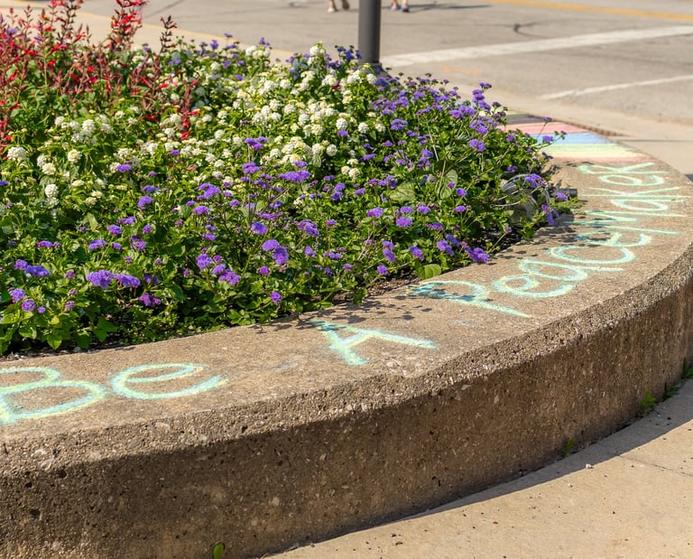 A colorful flower bed with purple ageratum and white lantana next to a Be A Peacemaker chalk message on a concrete curb.