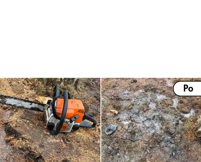 Kelmų šalinimas prieš ir po – frezavimo rezultatas sklype