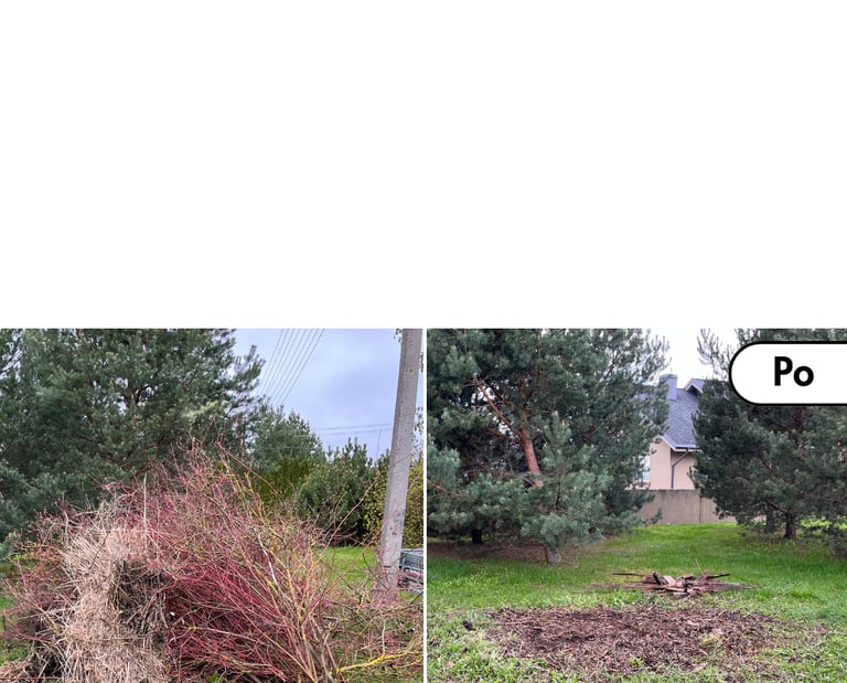 saku išvežimas utilizuoti pries ir po