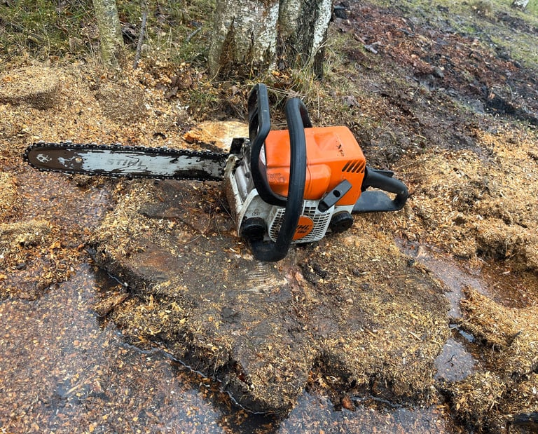 Kelmų naikinimas ir frezavimas po medžių pjovimo sklype
