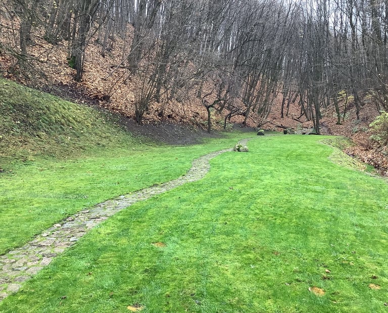 idealiai sutvarkytas kiemas nuo didelio kiekio lapų