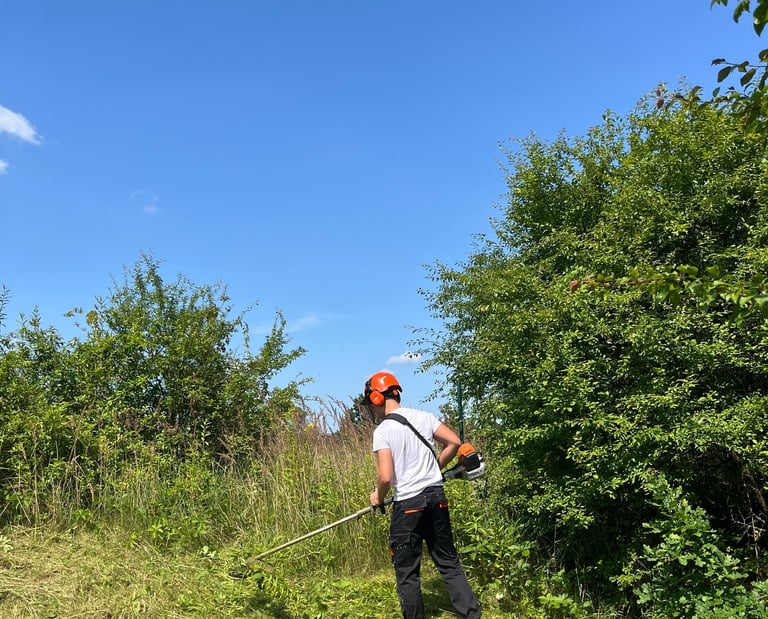 Apleistų sklypų tvarkymas – krūmų ir savaiminės augmenijos šalinimas trimeriu