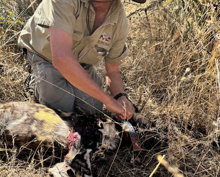WildAssist Africa Founder and CEO Dr Erik Verreynne