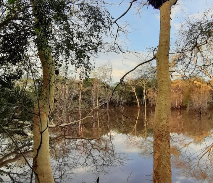 Dam near the Phinda river boundary at Albizia self catering tents and glamping in Hluhluwe