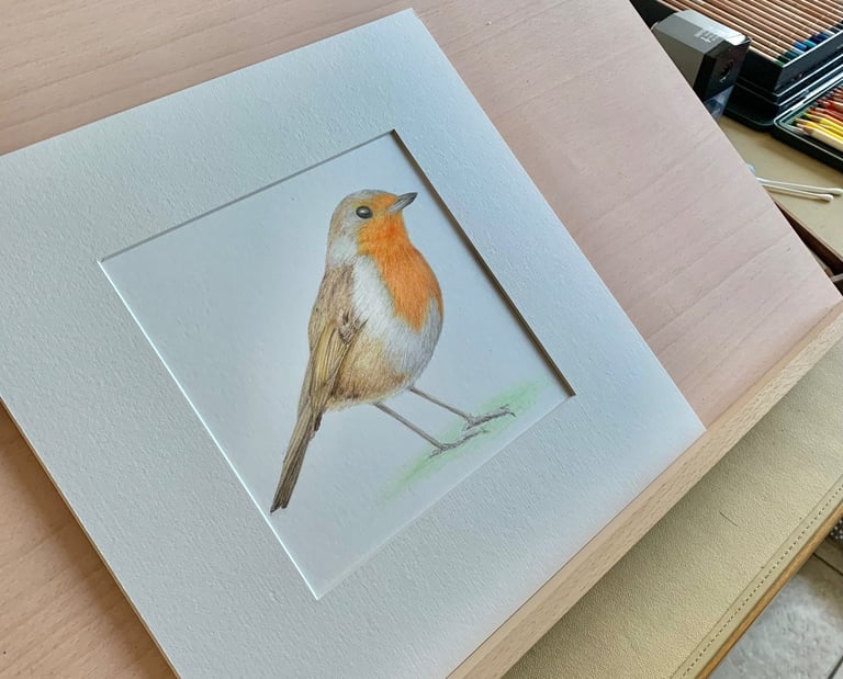 Robin