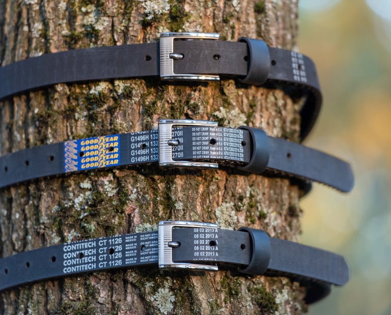 belts wrapped around tree