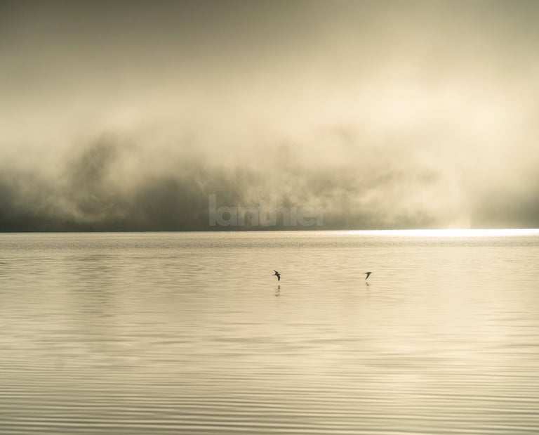 Black and white photograph of two birds flying low over water with dramatic clouds by Tim M Lanthier
