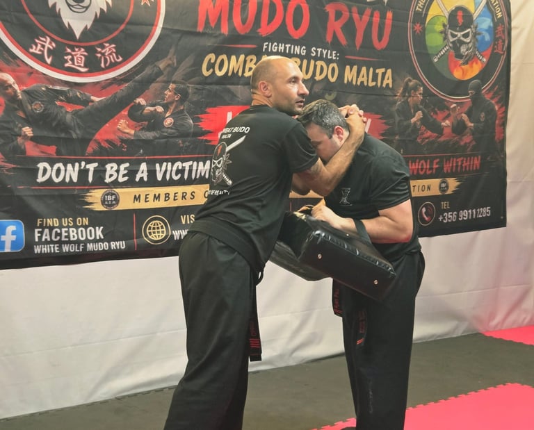 Two martial artists practice knee strikes on a strike shield at White Wolf Mudo Ryu combat budo gym.