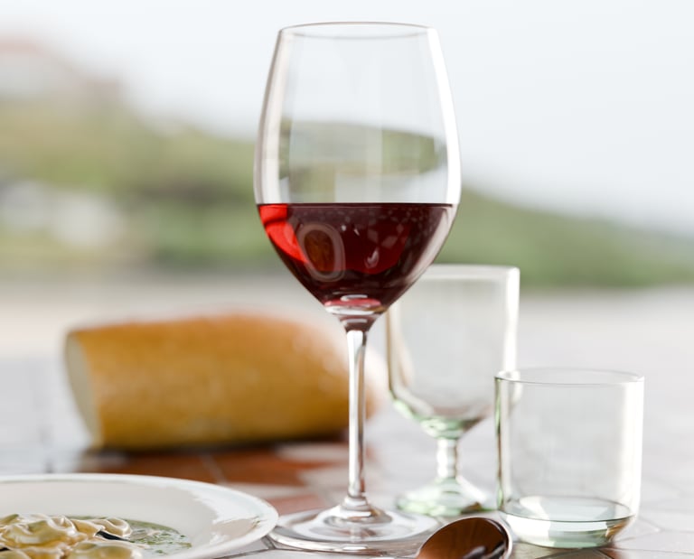 Image of Italian dinner meal render.