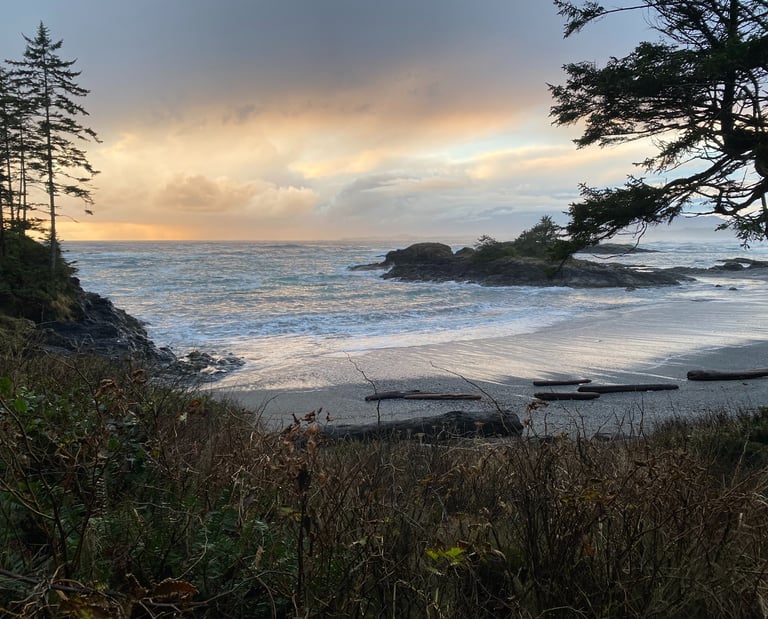 Scenic sunset view of a rugged Pacific Northwest beach with dramatic clouds, evergreen trees, and ocean waves.