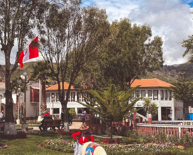Alpaca and Peruvian Woman in the Center of Huaraz in Peru, South America
