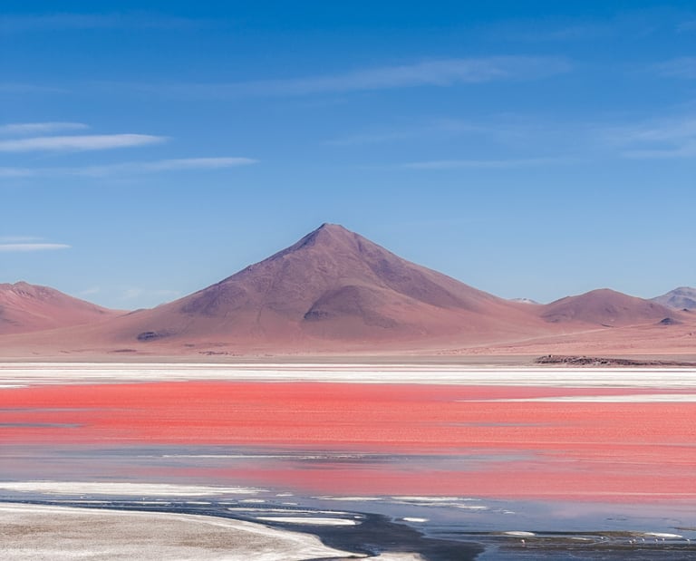 Laguna Colorado in Bolivia, South America
