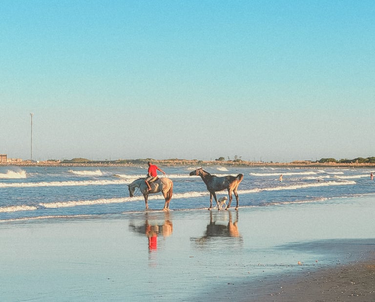 Horses on the beach in Uruguay