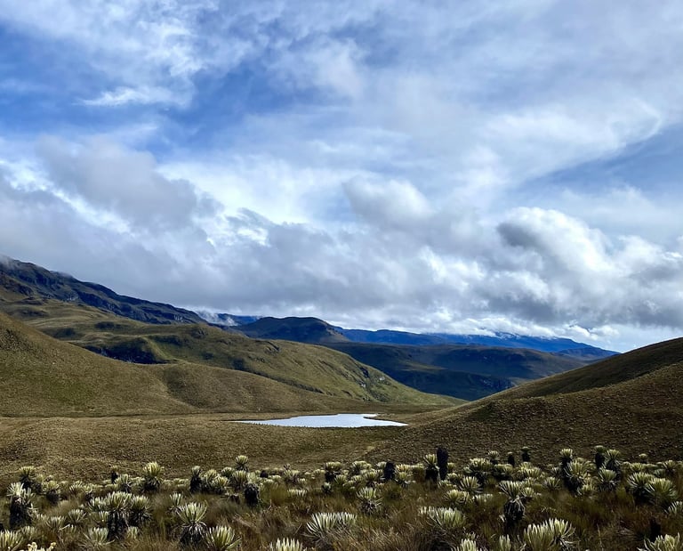 Laguna de altura en el paramo del parque de los nevados