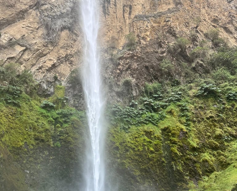 Cascada El Salto cayendo con fuerza entre roca húmeda y vegetación.