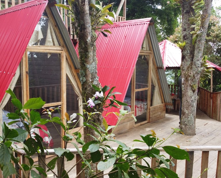 Diseño de rutas turísticas en reserva natural de Tolima