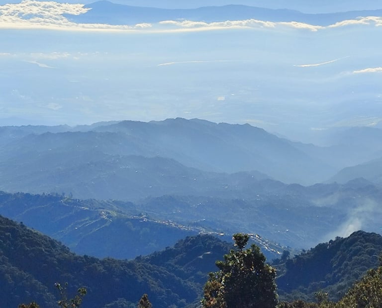 manecer sobre los Nevados del Tolima y del Ruiz visto desde los 3600 metros