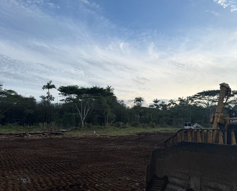Land Clearing Hilo, Hawaii