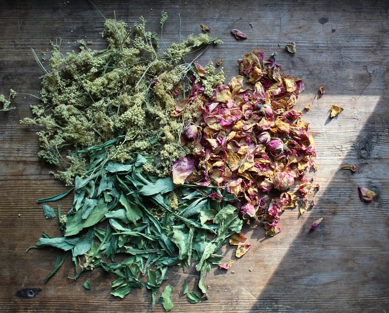 mélange de plantes sèches