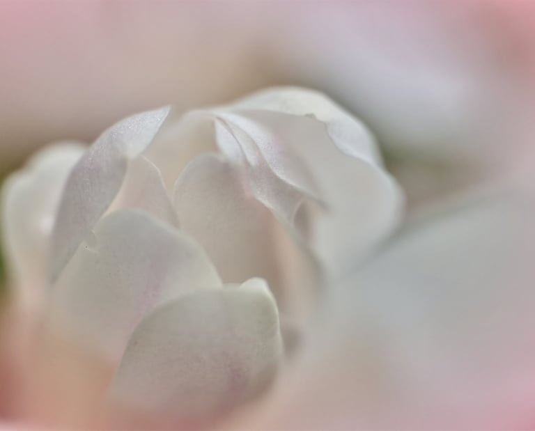 Reiki, Reiki, life coach, royersford, collegeville, phoenixville, king of prussia, pennsylvania