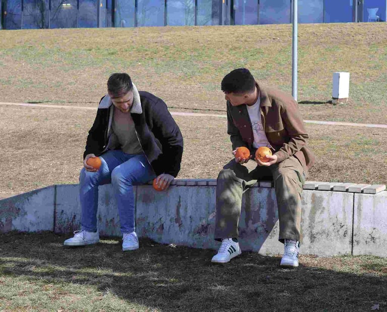 du jauni vyrai kalbasi sededami ant suoliuko lauke