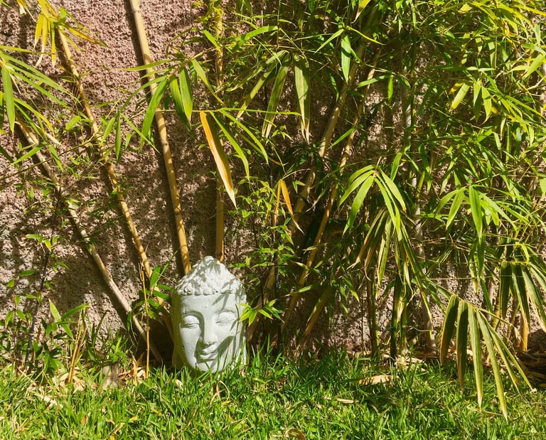 a statue of a buddha head in a bamboo garden at Indigo Star House Madeira