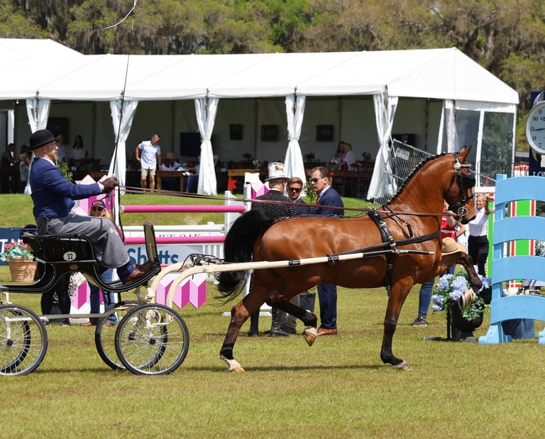 Bill and Ned strutting their stuff!