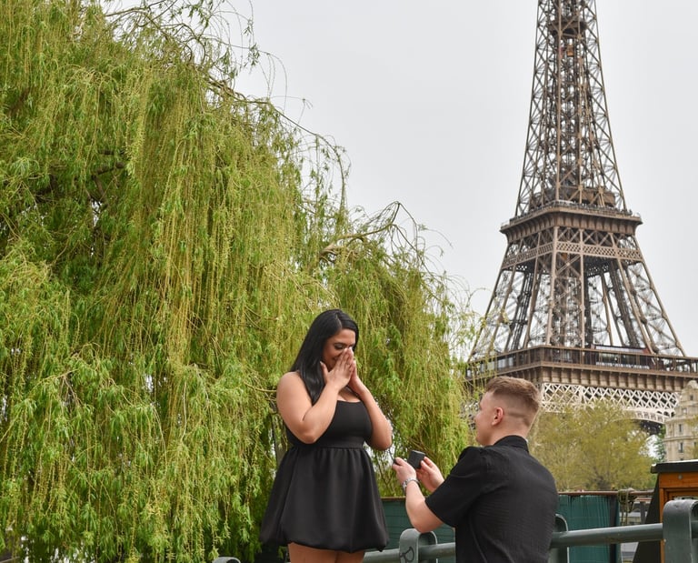 Un jeune aglais demande en fiançailles sa copine sur les bords de Seine, avec la tour Eiffel et un saule pleureur en fond