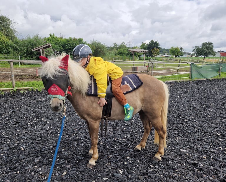 Kleines Kind auf kleinem Pony