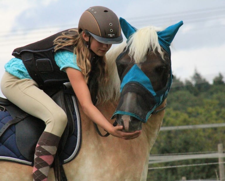 Mädchen sitzt auf einem Haflinger Pferd und gibt ihm ein Leckerli