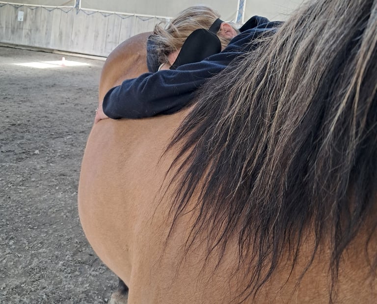 équithérapie : trouver du soutien avec le cheval