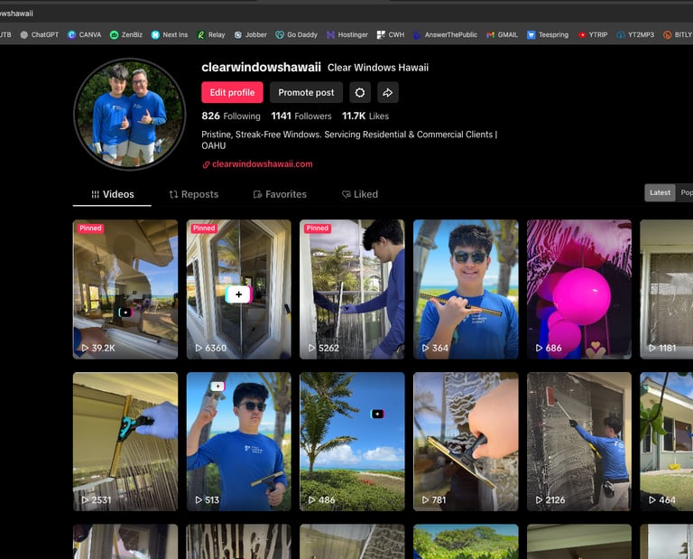 Window Cleaning TikTok