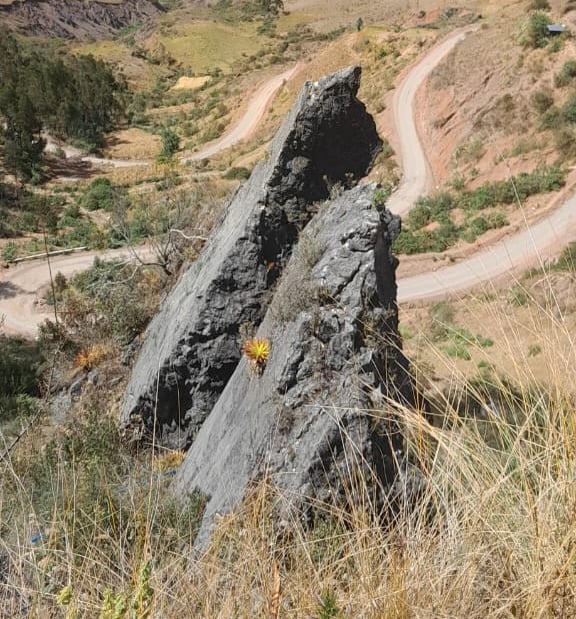 El Gallo del distrito de Huancaspata, provincia Pataz