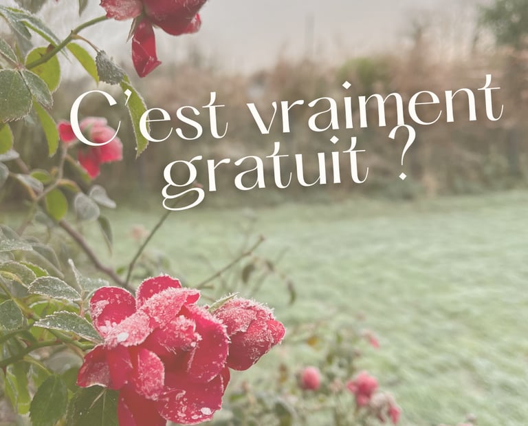 C'est vraiment gratuit? 