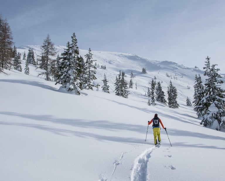 Coaching für Führungskräfte Outdoor am Berg, Leadership Training am Berg, mit Business Mental Coach