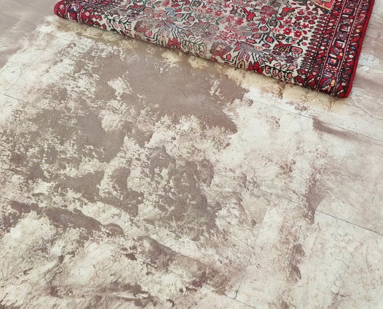 battitura per la rimozione totale della polvere nel tappeto