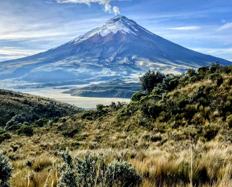 Cotopaxi seen from Rumiñahui