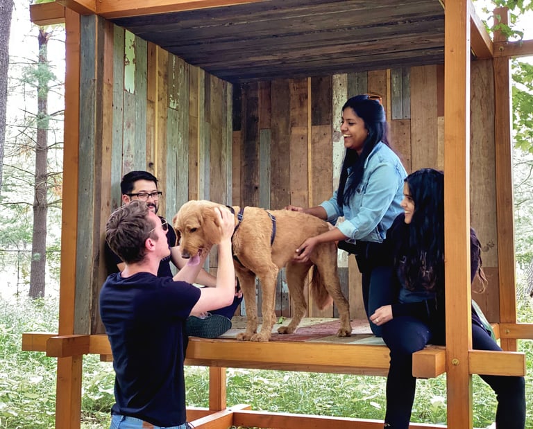 A photo of people and a dog laughing inside a wood pavilion