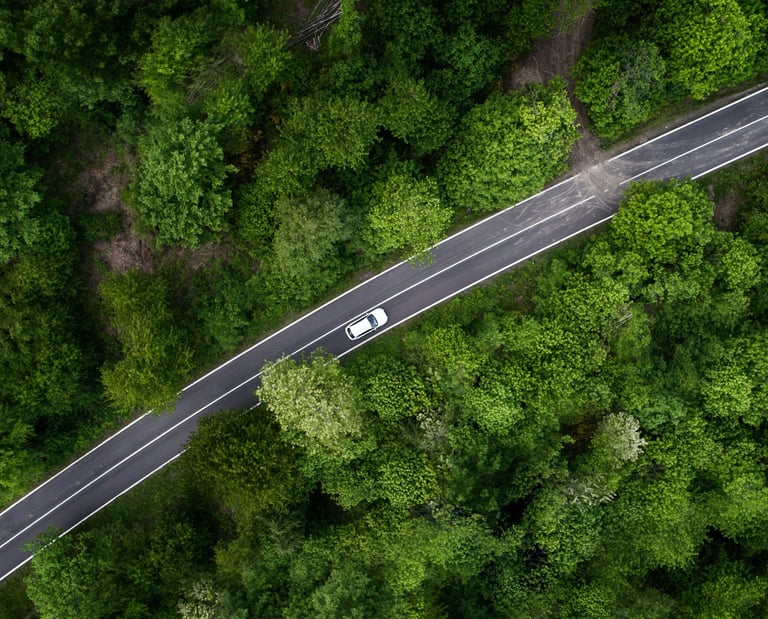 A road through the forest of chaos'