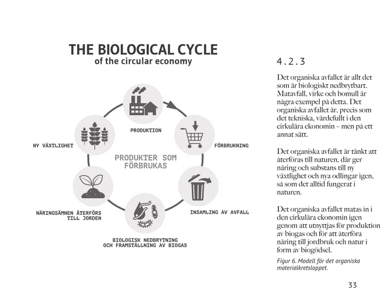 Diagram av det organiska kretsloppet i cirkulär ekonomi med nedbrytning och näring till nya växter.